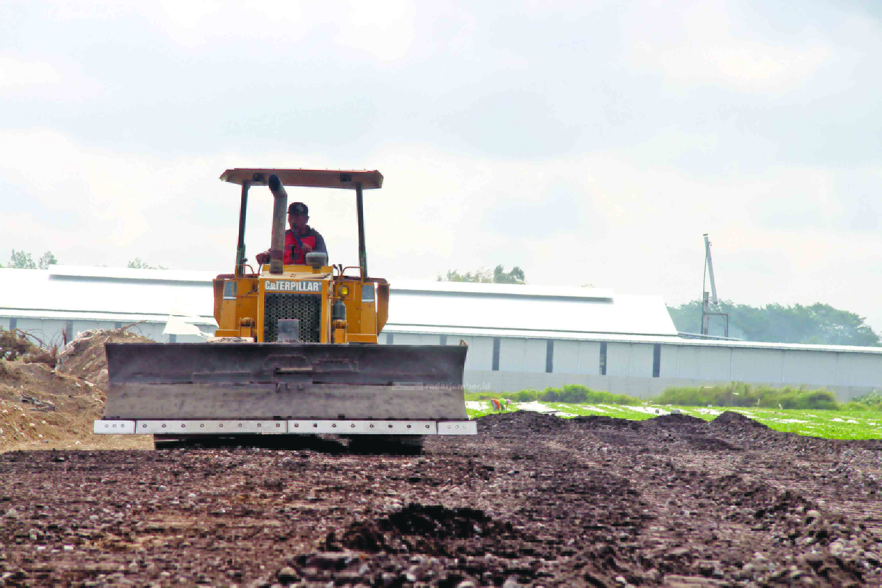 BANGUN: Salah satu alat berat sedang meratakan jalan masuk stockpile pasir terpadu di Desa/Kecamatan Sumbersuko. Rencananya, luas lahan yang mencapai 6,2 hektare itu bakal dibuat 34 petak penampungan pasir.