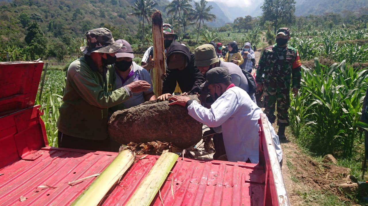 DIPINDAH: Batu megalitikum jenis kenong ketika dipindahkan ke PIMB. Batu tersebut memiliki keunikan dan dinilai rawan hilang, karena letaknya yang berada di pinggir sawah.