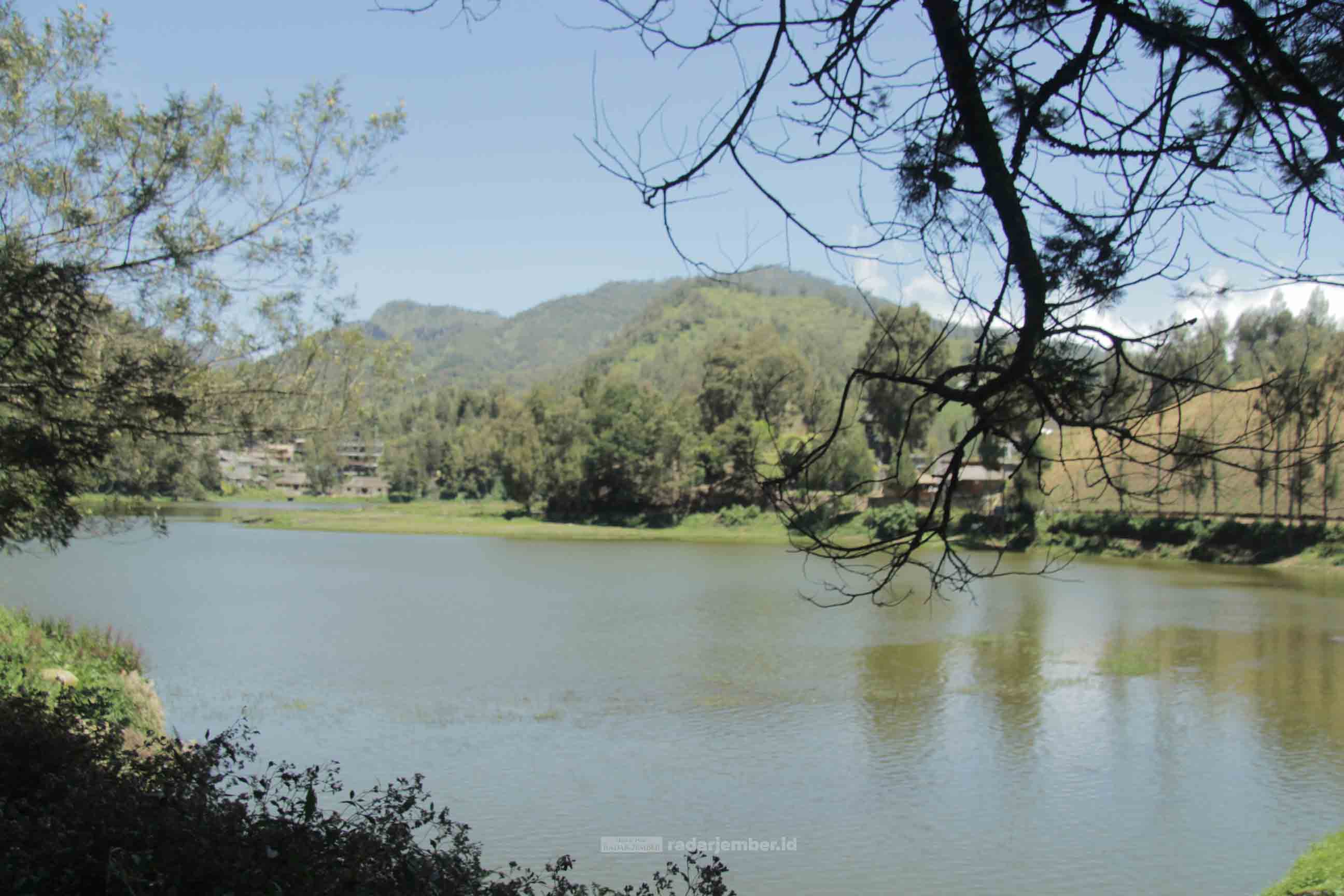 SEJUK: Pemandangan Danau Ranupani di kawasan Taman Nasional Bromo Tengger Semeru (TNBTS), beberapa waktu lalu. Kini, masing-masing kabupaten penyangga berada di level 3 PPKM. Akibatnya, wisata dan pendakian ke Gunung Semeru ditutup.