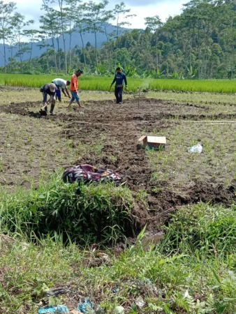 KERJA BAKTI: Sejumlah warga Desa Sumberwuluh, Kecamatan Candipuro, melakukan kerja bakti menyiapkan tempat pendaratan paralayang, kemarin. Hal itu dilakukan di salah satu lahan milik warga setempat.
