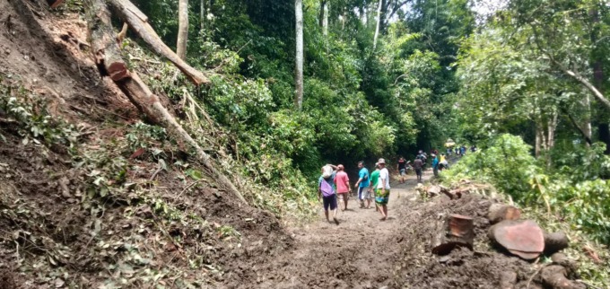 ROBOH: Pohon yang Roboh mengakibatkan akses jalan Terputus