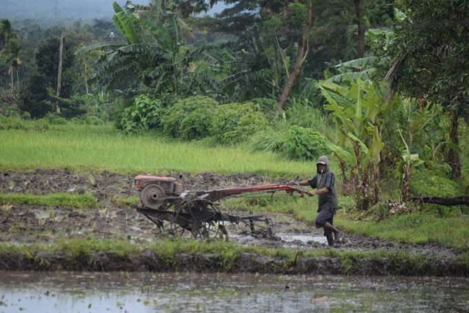 MULAI DIGITAL: Kini Dinas Pertanian Bondowoso mencanangkan lahan pertanian di Desa Sulek, Kecamatan Tlogosari, dijadikan pilot project petani milenial. Mengingat, sektor pertanian menjadi salah satu sektor utama di Bondowoso.