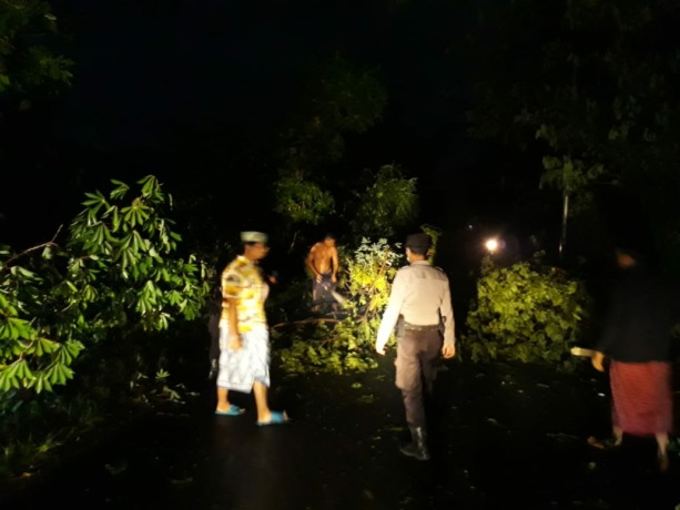 DIGUYUR HUJAN: Kondisi jalan raya penghubung Desa Tembokrejo dan Desa Bagorejo Kecamatan Gumukmas yang dipadati warga setelah ada insiden pohon tumbang, Sabtu malam (18/12).