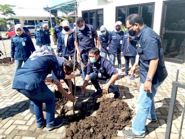 PEDULI LINGKUNGAN: Aksi tanam pohon yang dilakukan sejumlah pimpinan serta karu/kaur RS Perkebunan Jember Klinik di lingkungan rumah sakit, kemarin (10/1).