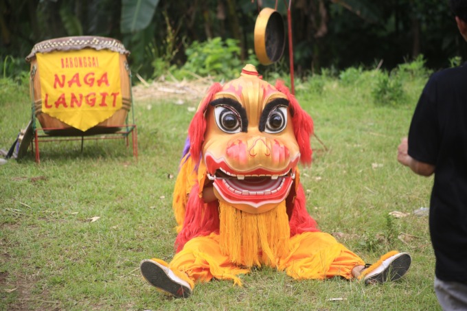 JUGA BARONGSAI: Peking sai disebut barongsai dari singa utara, namun kurang familier di kalangan masyarakat Indonesia dan Jember.