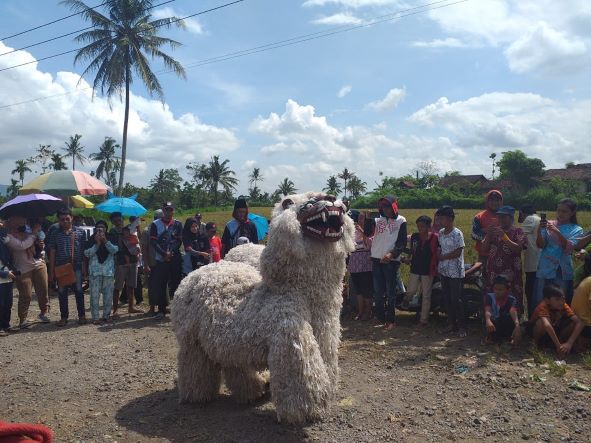 ATRAKTIF: Kesenian singo ulung yang tampil di acara adat bersih desa di Desa Blimbing, Klabang. Warisan budaya tak benda itu tetap menyita perhatian masyarakat.