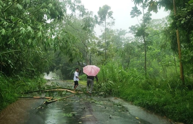 HALANGI JALAN: Dua orang warga di Kecamatan Sumberjambe berusaha membersihkan bambu yang melintang di jalan. Akibat hujan deras yang disertai angin, beberapa pohon bambu dan pohon jenis lain di kawasan itu roboh hingga menghambat pengguna jalan yang melin