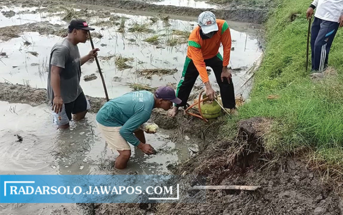 Sumber Foto : Radar Solo