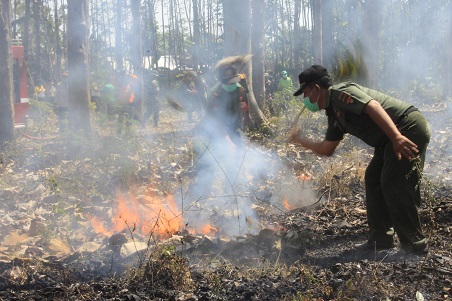 SIGAP: Perhutani Bondowoso bersama BPBD Bondowoso saat melakukan pelatihan pemadaman hutan.