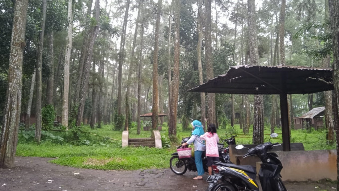 JANGAN TERBENGKALAI: Kondisi wisata Tasnan Forest yang dikelola Perhutani KPH Bondowoso.