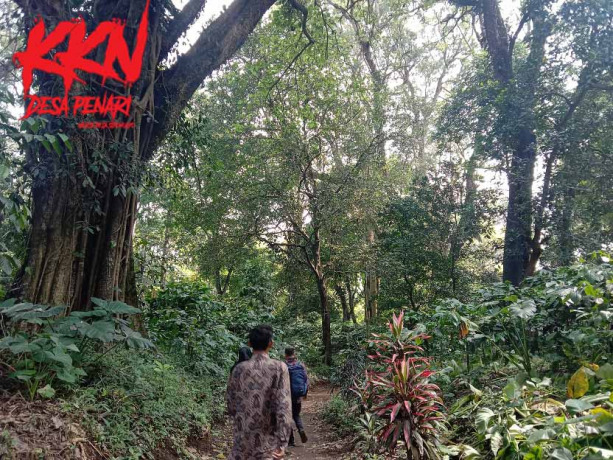 SAKSI BISU: Alas Gumitir, Desa Sidomulyo, Kecamatan Silo, Jember, menjadi tempat paling relevan dengan film KKN Desa Penari.