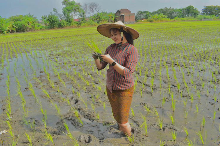 Caption: Profesi petani kini mulai dilirik oleh generasi mileneal, termasuk di Kabupaten Sukoharjo, Jawa Tengah, hal itu seperti dilakukan oleh Anita Safitri dan ia berusaha menghilangkan kesan petani itu kotor.