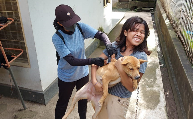Di Kabupaten Buleleng kini dilanda wabah rabies disebabkan gigitan anjing, karena itu pemiliknewan tersebut membawa anjing tersebut untuk mendapatkan vaksinasi anti rabies.