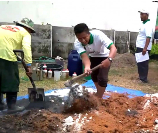 “Nitrogen dalam kompos kotoran sapi bisa sampai 1,65 persen.”  Abdul Jalil Alumnus Agroteknologi Unmuh Jember sekaligus mahasiswa Magister Agronomi Unej