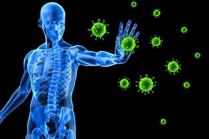 Caption : Setelai badai pandemi Covid-19 kini semakin meredah dan orang menjalani hidup normal, kini muncul virus Hendra dan menjadi ancaman baru manusia karena lebih mematikan dari Covid-19. (Telle report)