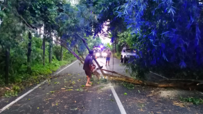 BUKA JALUR: Relawan memotong batang pohon yang ambruk di Jalan Mujahir, Sukorambi, Jember. Kini, arus lalu lintas kembali normal.