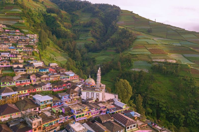 Caption Foto : Nepal Van Java