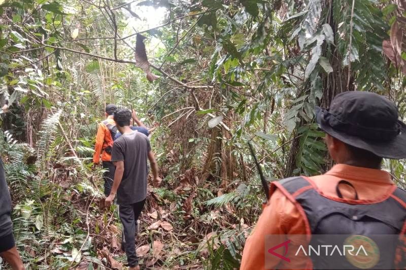 Badan SAR Nasional (Basarnas) Pos Meulaboh bersama tim gabungan terdiri dari TNI, Polri, relawan RAPI Aceh Barat bersama masyarakat, melakukan upaya pencarian terhadap seorang warga yang diduga hilang di hutan kawasan Kecamatan Woyla Timur, Kabupaten Aceh