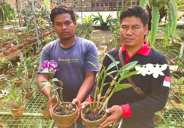 Caption: Septian (kiri0 dan Mahfud menunjukkan anggrek jenis Dendrobium di greenhouse Sememi Jaya Gang III, bahkan aktivitas menanam anggrek itu mampu mencuatkan nama kampung tersebut dan pantas bila mendapat julukan kampung anggrek.