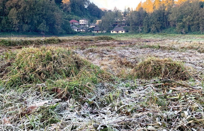 MOMENTUM: Pemandangan embun upas di Desa Ranupani, Kecamatan Senduro, pagi kemarin. Fenomena ini muncul di antara bulan Juli dan Agustus.