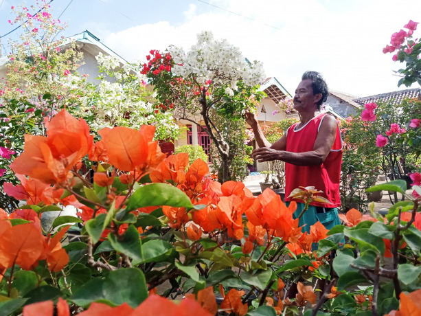 FOTO BENI BAYU SANJAYA/RADAR JEMBER