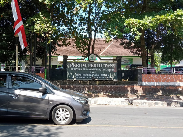 PEMANGKU HUTAN: Kantor Perhutani KPH Jember di Jalan Letjen S. Parman, Kecamatan Sumbersari, kemarin (5/8).