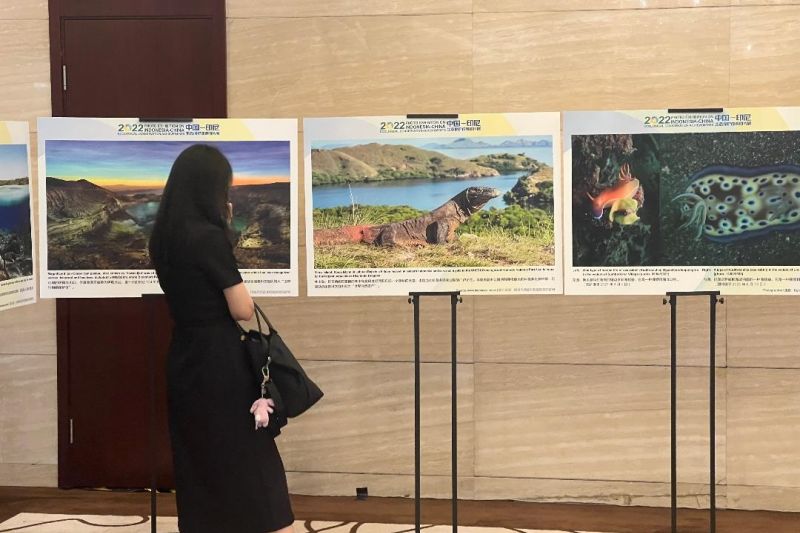 Caption Foto :  Pengunjung melihat foto-foto panomara Pulau Komodo di Indonesia dalam sebuah pameran di Beijiing, China.