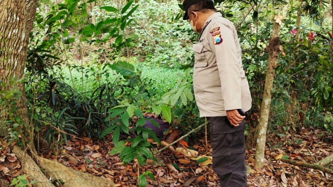 MEMBUJUR KAKU: Polisi mendatangi lokasi penemuan jenazah di area Afdeling Giringrejo, Perkebunan PTPN XII Banjarsari, Desa Petung, Kecamatan Bangsalsari, Jember, siang ini.