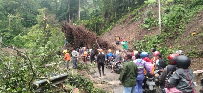CUACA EKSTREM: BPBD Lumajang bersama personel gabungan dan warga mengevakuasi pohon dan material longsor di jalur Piket Nol Desa Sumberwuluh Kecamatan Candipuro, pagi ini.