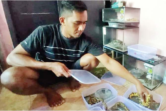 Muhammad Idris, 24, warga Desa Winongan Kidul, Kecamatan Winongan, Kabupaten Pasuruan, menunjukan beberapa ekor ular piton dan binatang berbisa itu kini menjadi sumber pendapatan bagi pria tersebut.