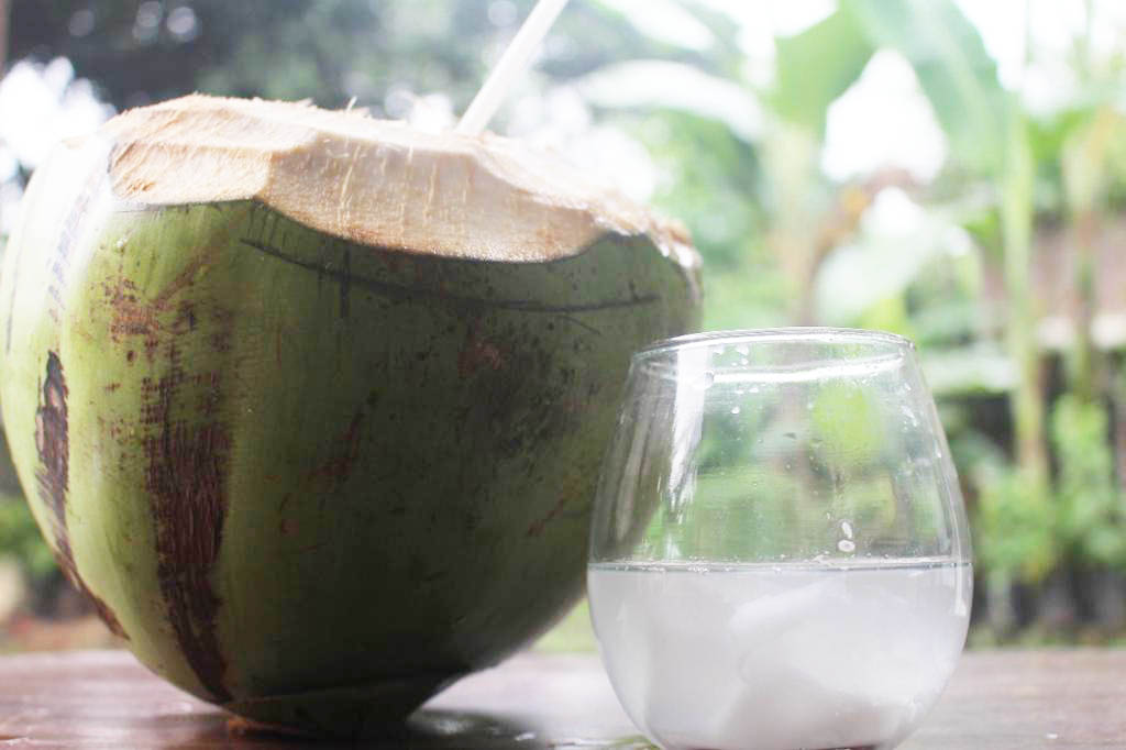 NIKMAT: Kelapa hijau muda memang banyak digemari masyarakat karena memiliki banyak khasiat dan rasanya segar.