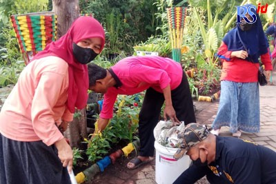Lahan kosong di RW 08 Kelurahan Pedurungan Tengah, Kecamatan Pedurungan diubah menjadi kebun sayur dan buah.