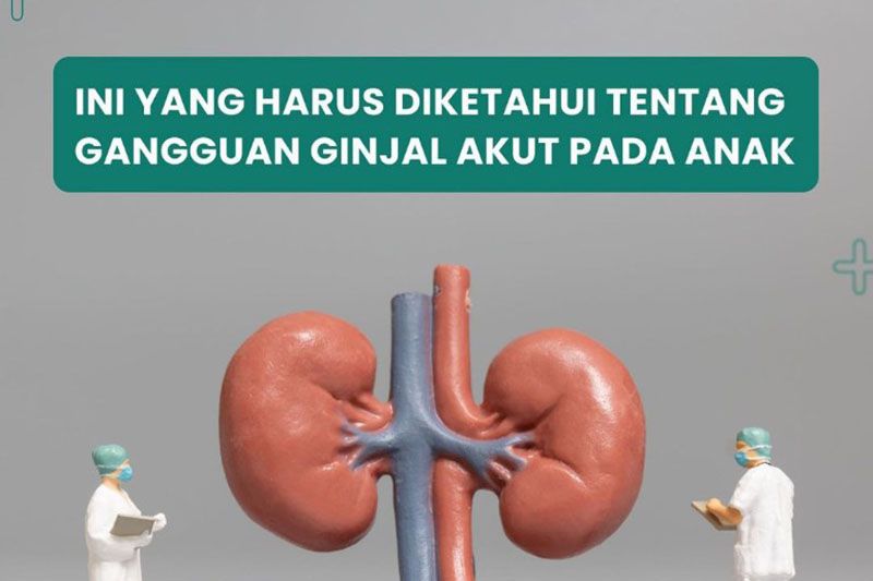 Ilustrasi ginjal.