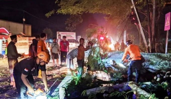 PROSES PEMBERSIHAN: Tim BPBD Jember sedang memotong pohon yang roboh di jalanan Kecamatan Jelbuk.