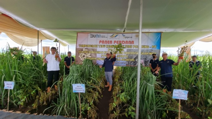SUKSES BESAR: Aktivitas panen tanam tebu dan kedelai (bule) di lahan perkebunan PTPN XI PG Jatiroto, kemarin. Selain panen, sejumlah inovasi alat juga ditunjukkan.