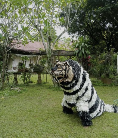 DOMINASI TALI RAFIA: Kostum can-macanan kadduk terlihat sederhana untuk dibuat. Hanya berbahan tali rafia, bisa menjadi sebuah kostum kesenian budaya.