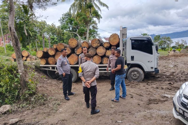 Anggota Polres Samosir meninjau lokasi penebangan ilegal hutan pinus di Desa Hutaginjang, Kecamatan Simanindo, Kabupaten Samosir, Sabtu (12/11/2022).