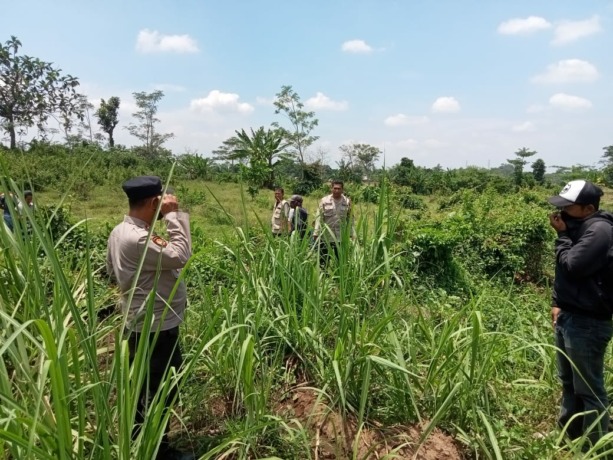 MENGENASKAN: Kapolsek Pakusari AKP Hariyanto bersama anggota saat mendatangi TKP penemuan jenazah di kebun tebu Desa Kertosari, Kamis (3/10).