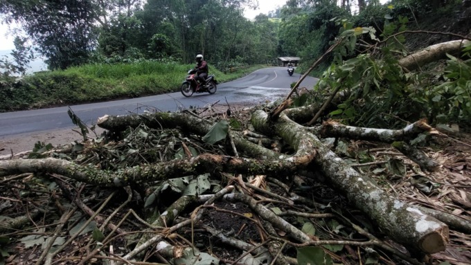 TAK GANGGU ARUS: Ranting pohon tumbang masih teronggok di pinggir jalan kawasan Gumitir, Desa Sidomulyo, Kecamatan Silo, Jember.