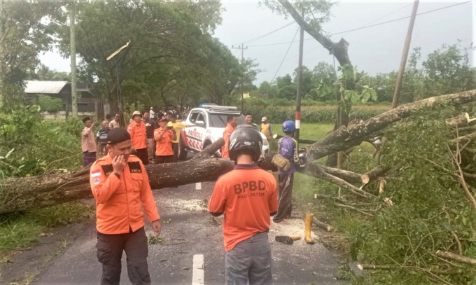 EVAKUASI : Jajaran Polsek Kaliwates, BPBD Jember dan masyarakat saat berusaha membersihkan pohon tumbang di wilayah Kecamatan Kaliwates, Senin (7/11).
