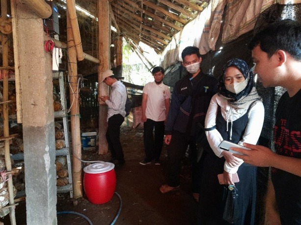 FOKUS: Tim Pengabdian Masyarakat melakukan monitoring di kumbung jamur milik PT Mitra Jamur Indonesia.