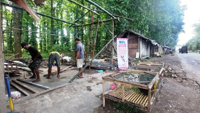 BANGKIT KEMBALI: Warung yang rusak tertimpa pohon akibat puting beliung sepekan lalu di Rambipuji Jember, kini mulai dibangun kembali.