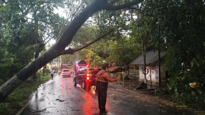 EVAKUASI: Petugas Polsek Sukorambi bersama BPBD saat melakukan pemotongan pohon yang roboh dan melintang ke jalan disertai angin kencang.
