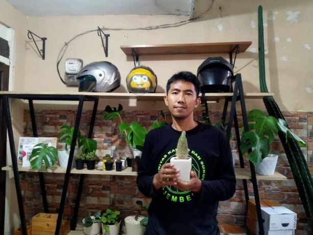 KREASI KAKTUS: Sandhiputra Budhi Perdana sedang membawa salah satu produk usaha mikro, kecil, dan menengah (UMKM) di rumahnya. Ia sedang menunjukkan tanaman kaktus mini yang ditanam di dalam pot.