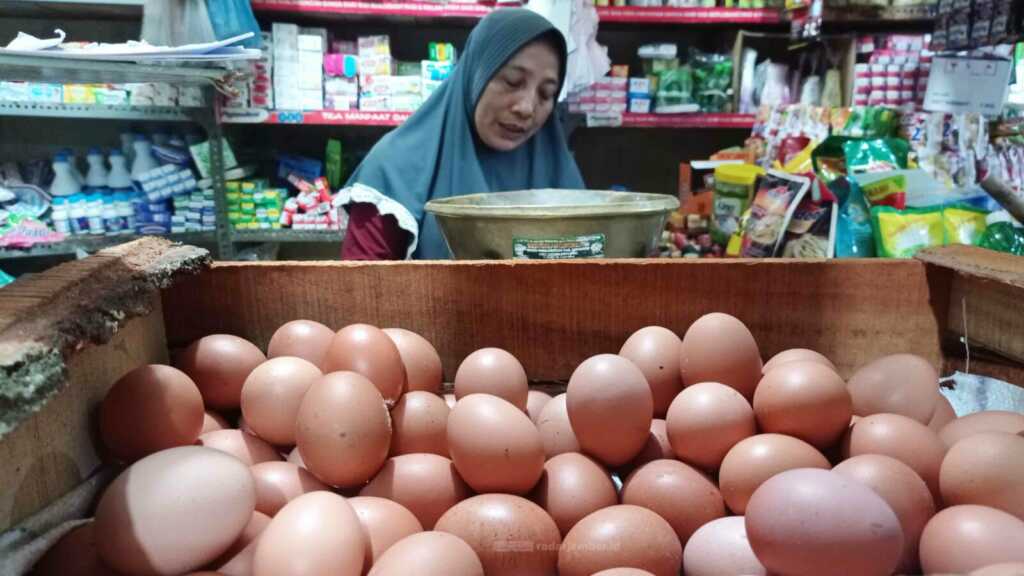 SUMBER PROTEIN: Menjelang penutupan tahun, harga telur ayam ras terus mengalami kenaikan. Bahkan hampir Rp 30 ribu per kilogram.