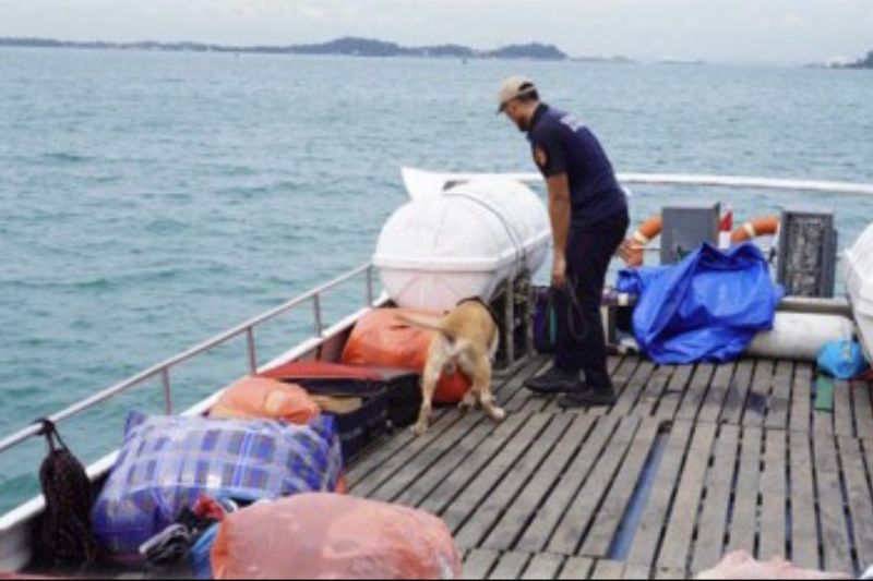 Bea Cukai melakukan proses pemeriksaan kapal dengan melibatkan Tim K-9 dengan anjing pelacak.