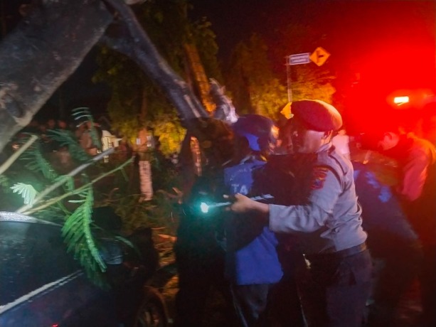 RINGSEK: Tim penolong ketika membantu evakuasi korban yang mobilnya tertimpa pohon tumbang di Jalan PB Sudirman, Kelurahan Jember Lor, Kecamatan Patrang, Jember, Jumat (10/12) dini hari.