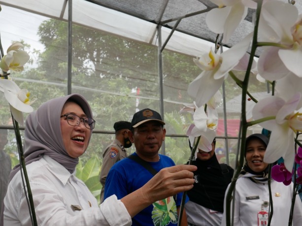 CANTIK: Wakil Bupati Lumajang Indah Amperawati saat melihat bunga anggrek seusai peresmian Green House di Desa Purworejo, Kecamatan Senduro, kemarin.