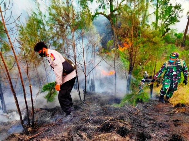 DIPANTAU: Sejumlah aparat kepolisian, polhut, hingga TNI mulai meminimalisasi meluasnya kebakaran di kawasan hutan dekat wisata Kawah Wurung, Desa Kalianyar, Kecamatan Ijen.