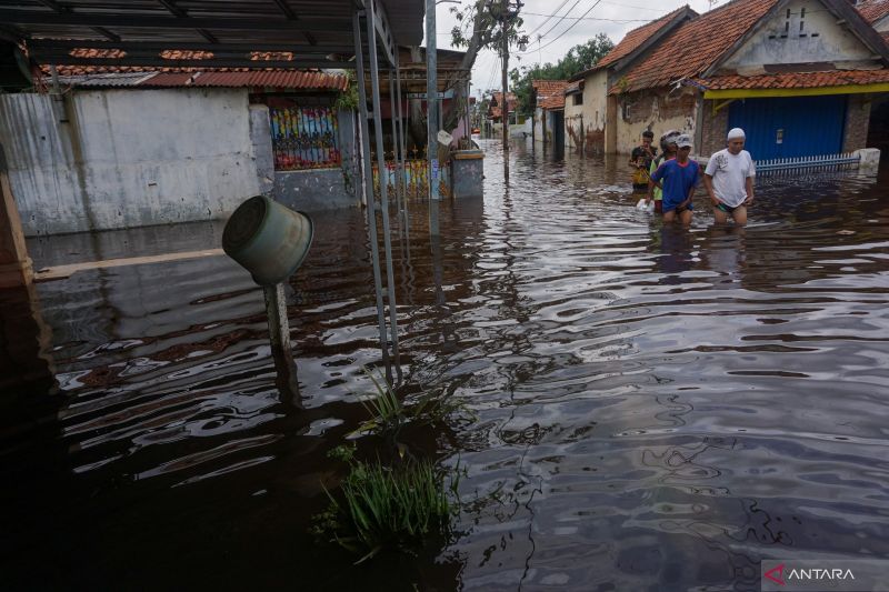 Warga berjalan melewati genangan air banjir di Tirto, Pekalongan, Jawa Tengah, Senin (2/1/2023). Banjir yang terjadi akibat hujan lebat dan meluapnya Sungai Bremi, Sungai Pekalongan, dan Sungai Banger menyebabkan banjir di sejumlah titik di Kota Pekalonga
